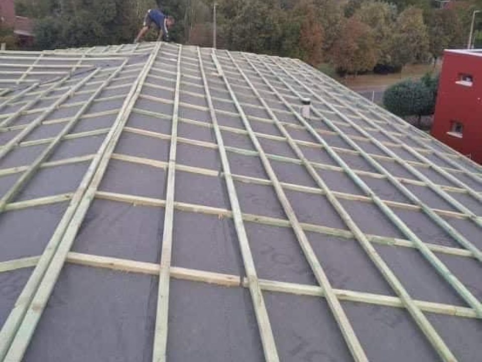 334891223_484446530437650_7377553300276545866_n