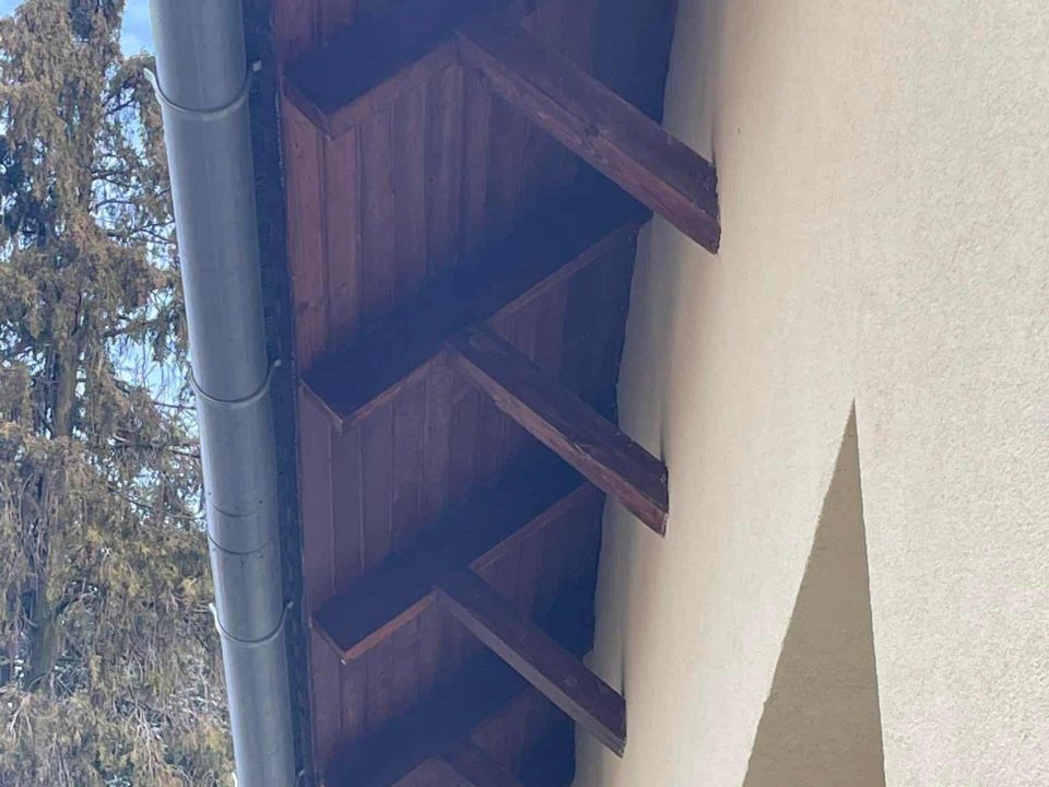 336804640_1186710642208045_4955303518117911489_n